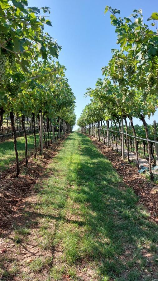 Azienda Agrituristica Corteforte 푸르마네 외부 사진