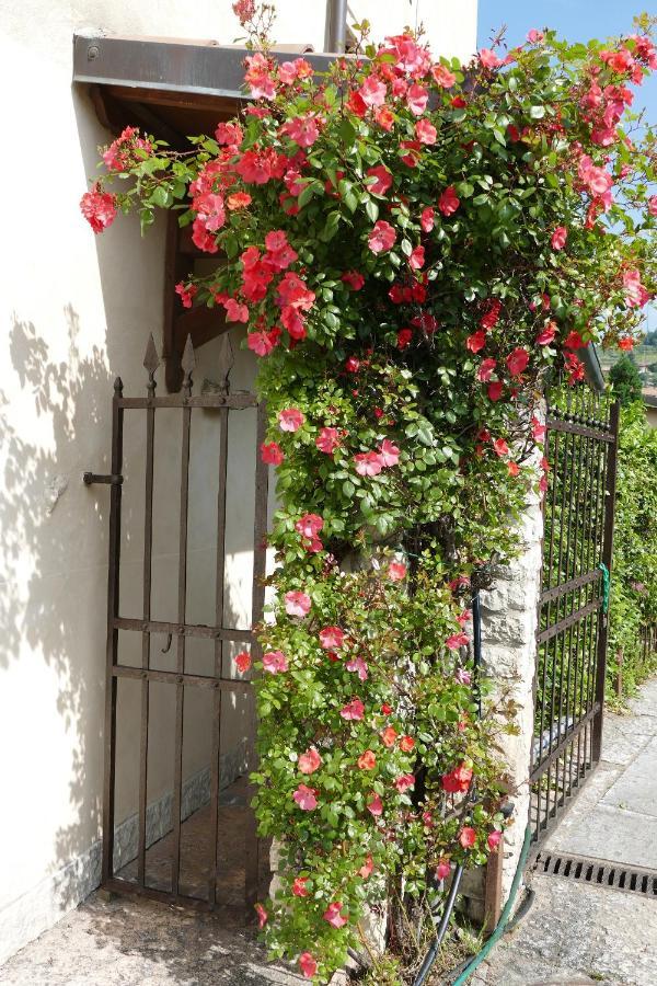 Azienda Agrituristica Corteforte 푸르마네 외부 사진
