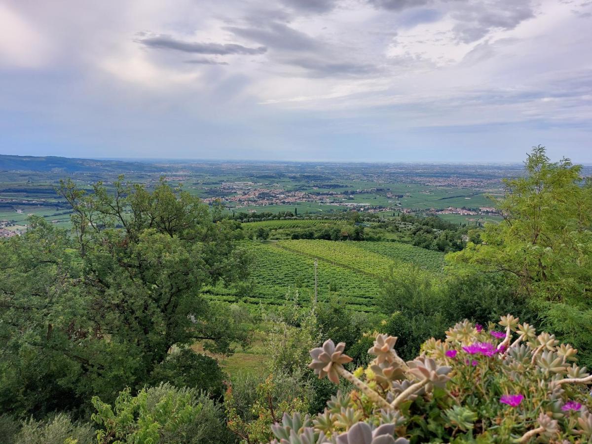 Azienda Agrituristica Corteforte 푸르마네 외부 사진