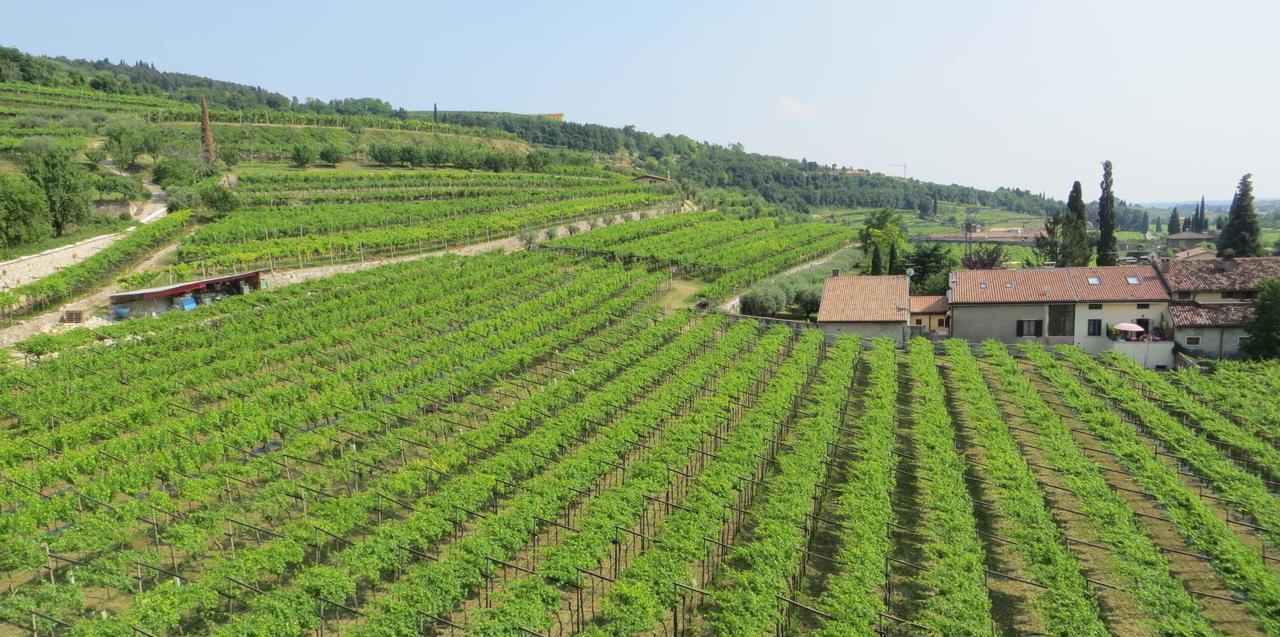Azienda Agrituristica Corteforte 푸르마네 외부 사진